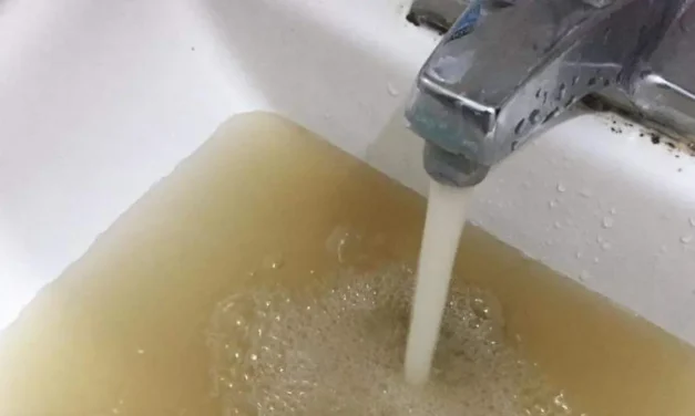 Diarreas y agua sucia: Jalisco desconoce el alcance de la exposición fecal
