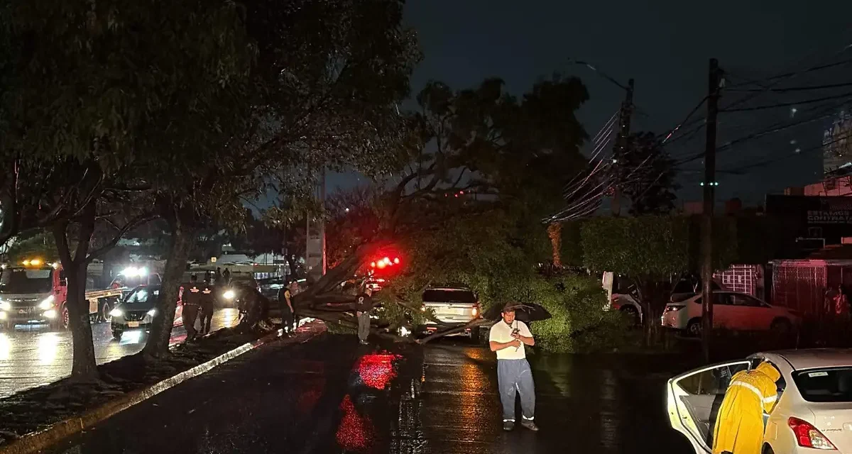 Tormenta afecta 14 zonas de Guadalajara; reportan inundaciones, vehículos y árboles dañados