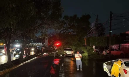 Tormenta afecta 14 zonas de Guadalajara; reportan inundaciones, vehículos y árboles dañados