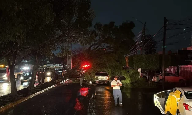 Tormenta afecta 14 zonas de Guadalajara; reportan inundaciones, vehículos y árboles dañados