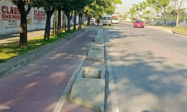 Infraestructura urbana enferma al arbolado de la AMG; faltan diagnósticos sobre su deterioro