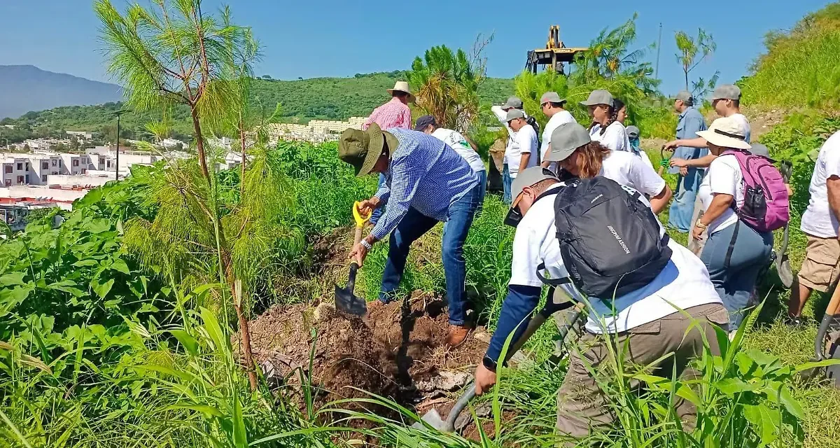 Realizan reforestación dentro del Fraccionamiento Lomas del Sur, en Tlajomulco; participan autoridades y ciudadanos