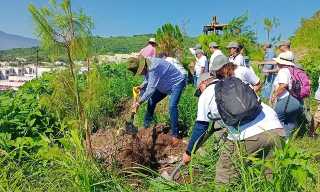 Realizan reforestación dentro del Fraccionamiento Lomas del Sur, en Tlajomulco; participan autoridades y ciudadanos