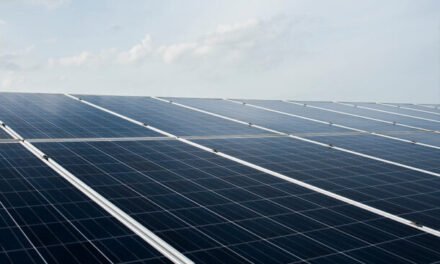Jalisco tendrá su primera planta recicladora de paneles solares