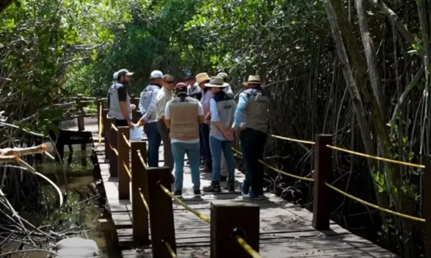 Ampliarán muelles en el Estero El Salado