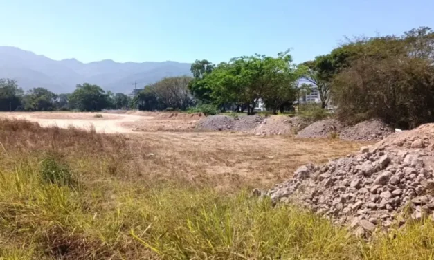 Deforestación en Puerto Vallarta aumenta la temperatura por pérdida vegetal
