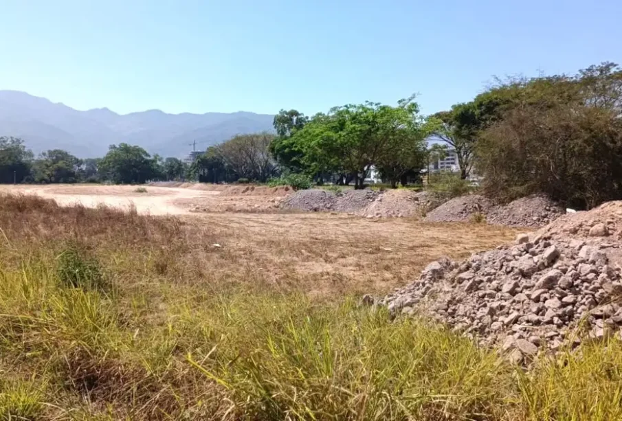 Deforestación en Puerto Vallarta aumenta la temperatura por pérdida vegetal