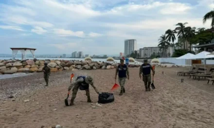 Elementos de la Secretaría de Marina recolectan 90 kilos de basura en Playa Camarones