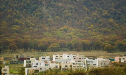 Urbanización amenaza los hábitats y corredores de la fauna silvestre