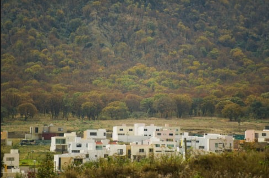 Urbanización amenaza los hábitats y corredores de la fauna silvestre