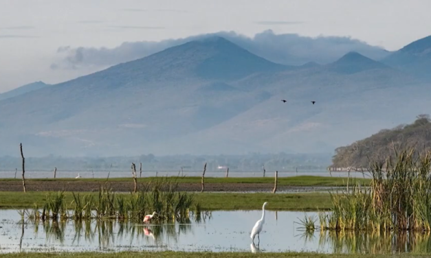 Rechazan nueva termoeléctrica en Acatlán comunidades de la Región Lagunas