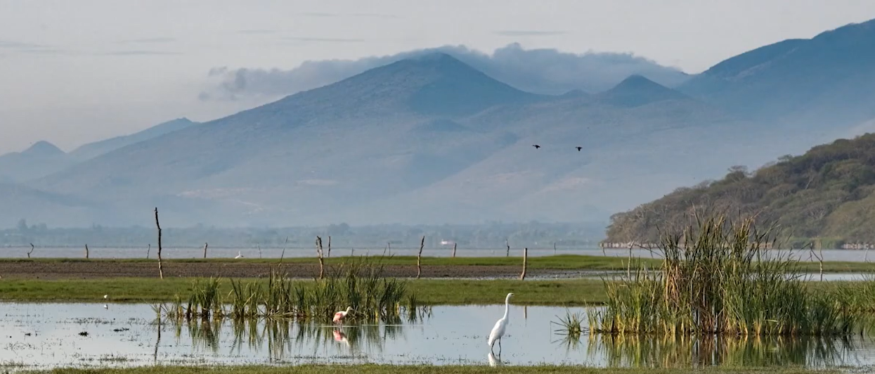Rechazan nueva termoeléctrica en Acatlán comunidades de la Región Lagunas