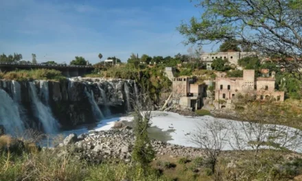 Lleva Río Santiago ‘ola’ cancerígena