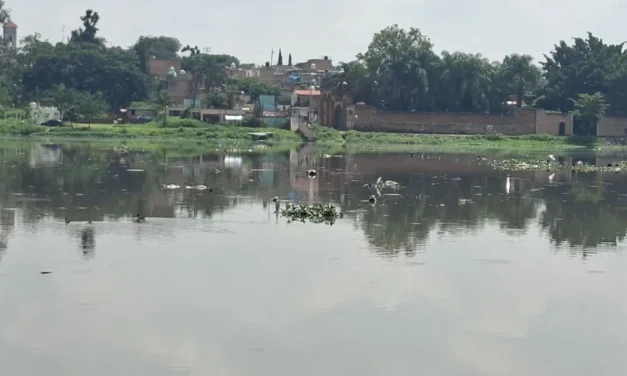 Persisten aguas negras y olores en Las Pintas