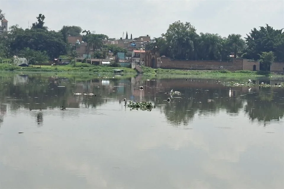 Persisten aguas negras y olores en Las Pintas