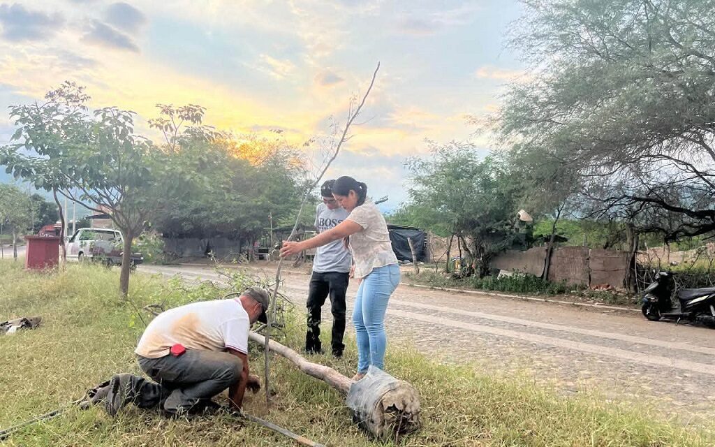 Dirección de Medio Ambiente reforesta la zona de la Preparatoria Regional de Autlán