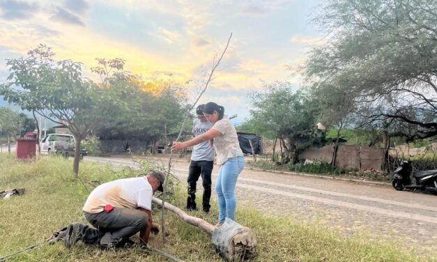 Dirección de Medio Ambiente reforesta la zona de la Preparatoria Regional de Autlán