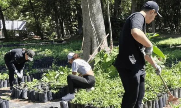 Bosque Urbano de Extra AC proyecta plantar cinco millones de árboles en GDL en 10 años