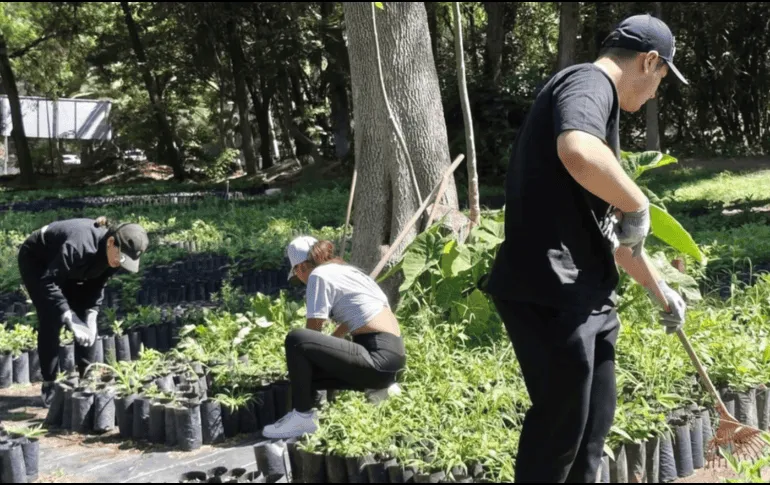 Bosque Urbano de Extra AC proyecta plantar cinco millones de árboles en GDL en 10 años