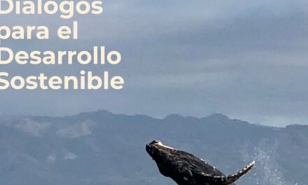 ¿Qué pasaría si dejáramos de cuidar aquello que hace de Puerto Vallarta un lugar único?