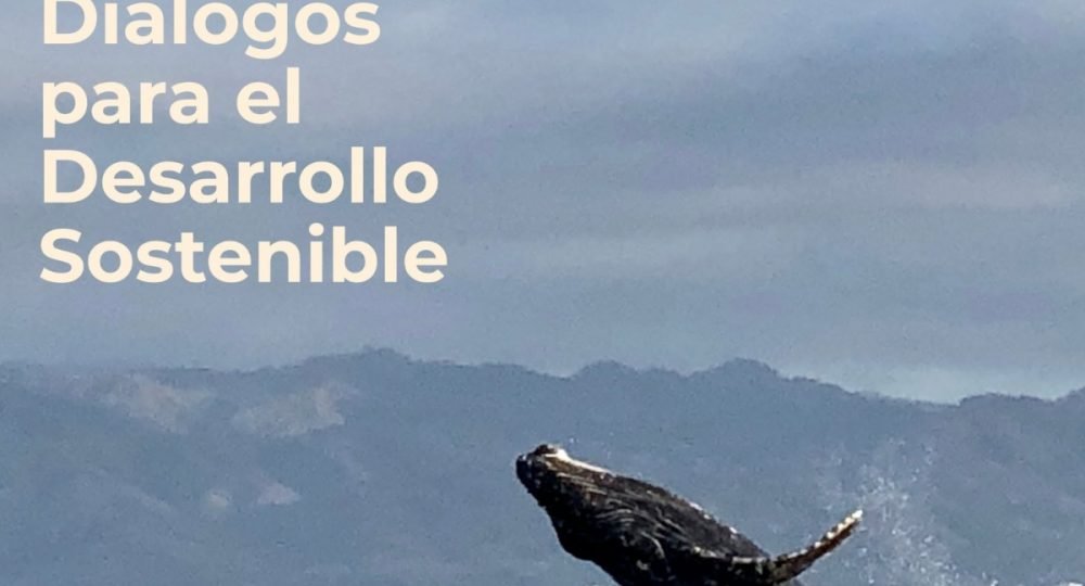 ¿Qué pasaría si dejáramos de cuidar aquello que hace de Puerto Vallarta un lugar único?