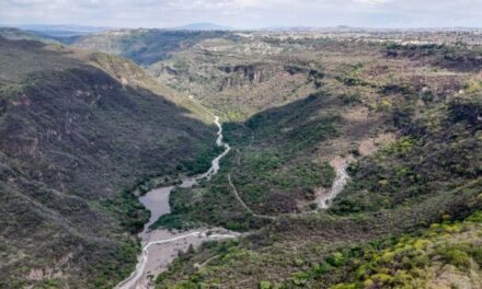 Lluvias desbordan aguas negras en la barranca de Huentitán