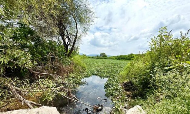 FGR investiga descarga de residuos en afluente del río Santiago