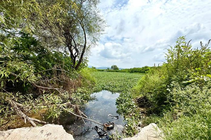 FGR investiga descarga de residuos en afluente del río Santiago