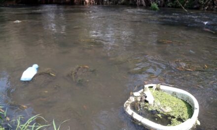 ‘Ni con megaobras habrá agua limpia si no frenan las descargas ilegales’
