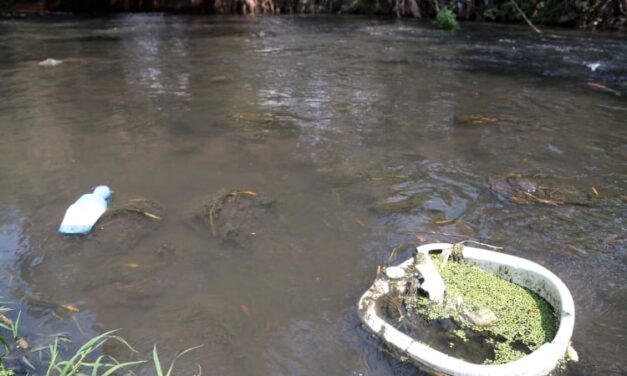 ‘Ni con megaobras habrá agua limpia si no frenan las descargas ilegales’