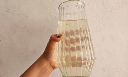 Siapa oculta reportes de agua contaminada