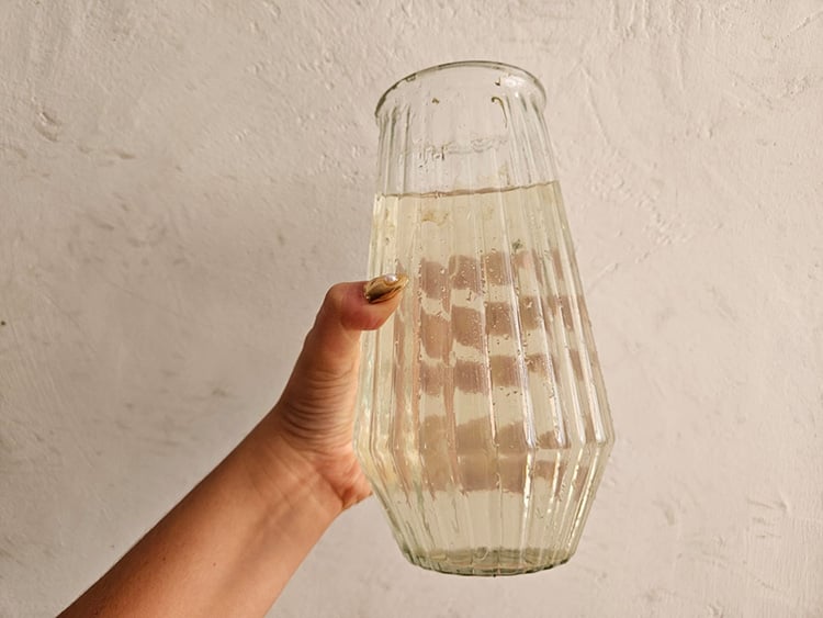 Siapa oculta reportes de agua contaminada