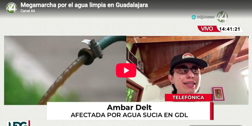 Megamarcha por el agua limpia en Guadalajara