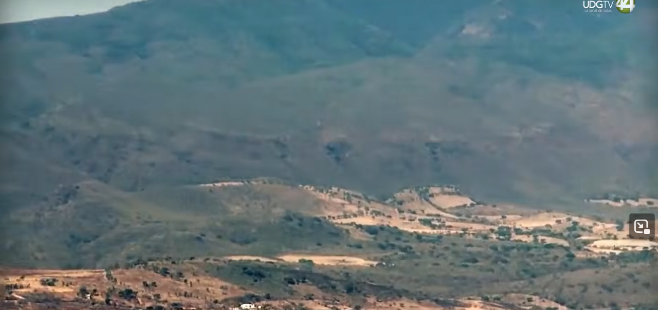 Territorio Reportaje | La difícil protección de Cerro Viejo, primera parte