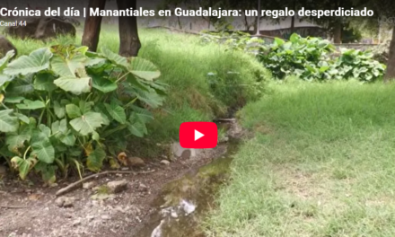 Crónica del día | Manantiales en Guadalajara: un regalo desperdiciado