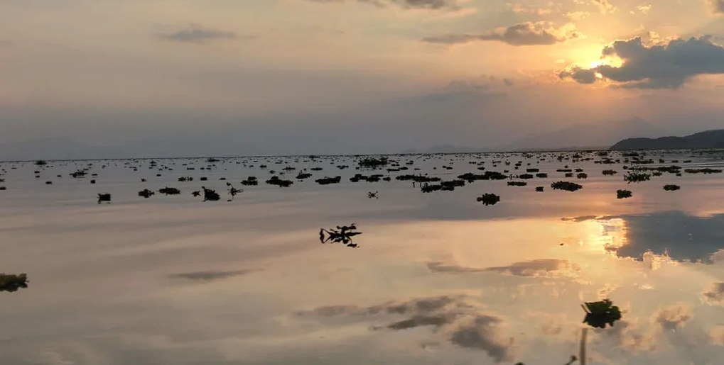 Piden frenar la contaminación de Chapala ante la crisis del agua en Guadalajara