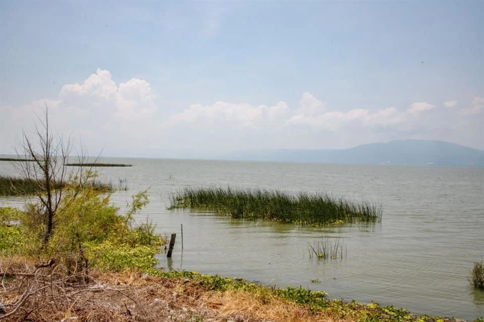 Pide Alcalde que no se sustraiga más agua a Chapala