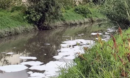 Requieren más de 300 mdp para limpiar Las Pintas y La Calera