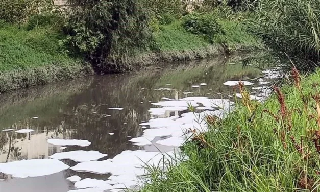 Requieren más de 300 mdp para limpiar Las Pintas y La Calera