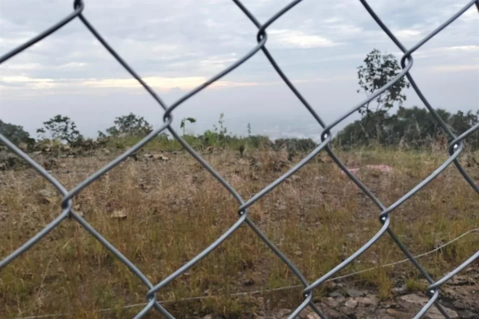 Reprochan tala de 170 árboles en El Palomar