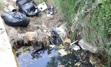 Clausura Tonalá 26 descargas de aguas negras