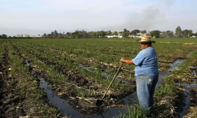 Campo, pieza clave en plan hídrico de Jalisco