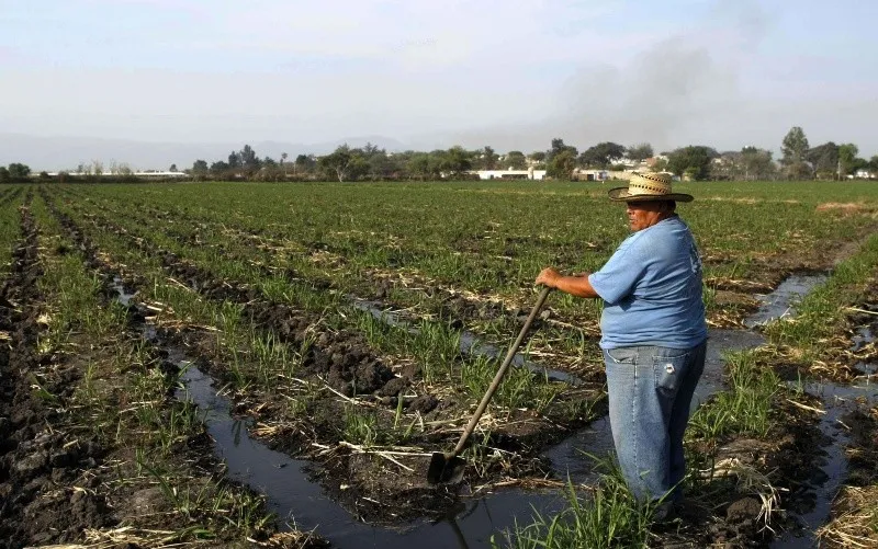 Campo, pieza clave en plan hídrico de Jalisco
