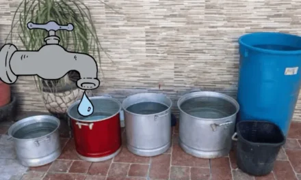 ¿Qué revelaron los estudios sobre la calidad del agua en Guadalajara?