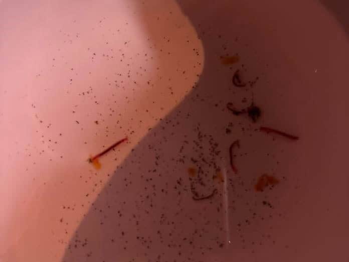 Vecinos de la colonia Nueva Primavera denuncian agua con gusanos y gastos extra