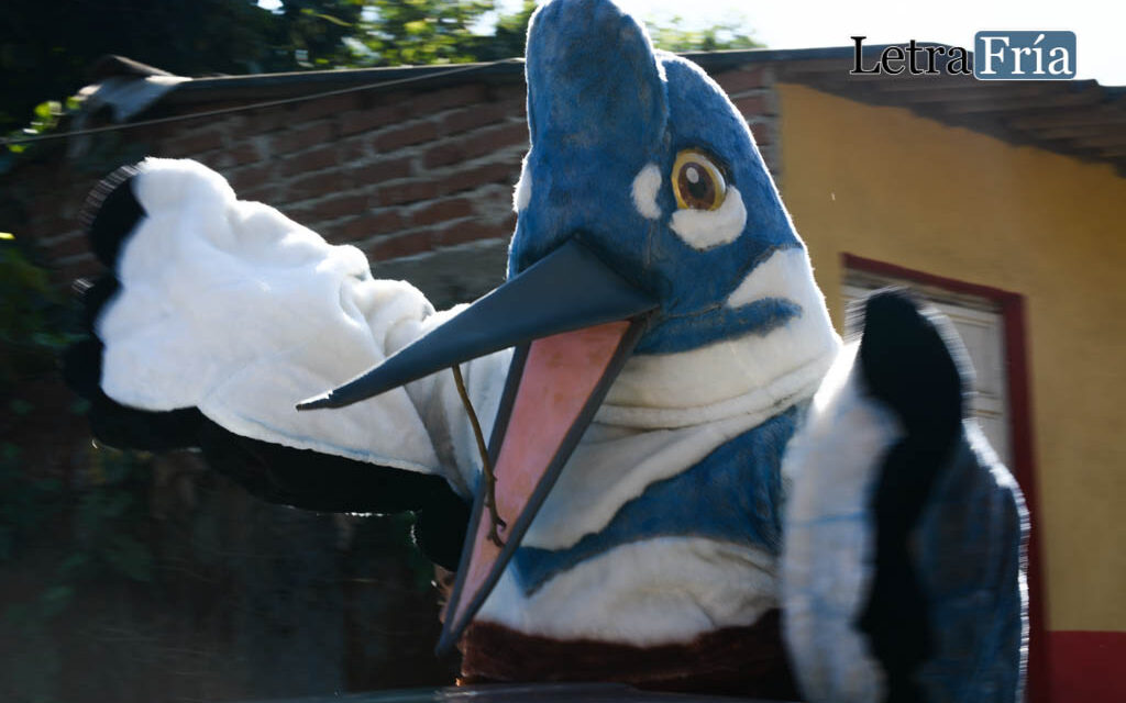 Comparten programa oficial del 6to. Festival del Colibrí en Ahuacapán