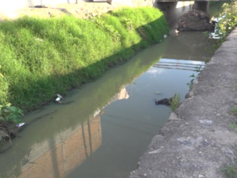 Investigan posible contaminación en Las Pintas; persiste agua turbia con malos olores