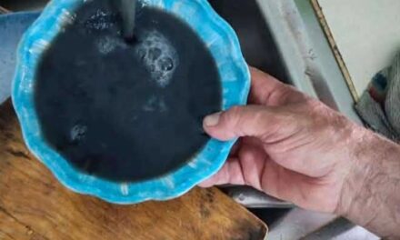 Monitoreo detecta plomo y mercurio en muestras de agua de la ciudad