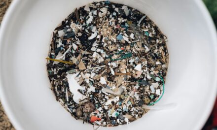 La naturaleza contra los plásticos: una opción para combatir la contaminación