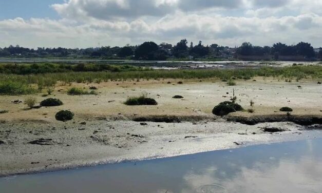 Reaparecen basura y malos olores en la presa de Las Pintas